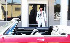 Elvis